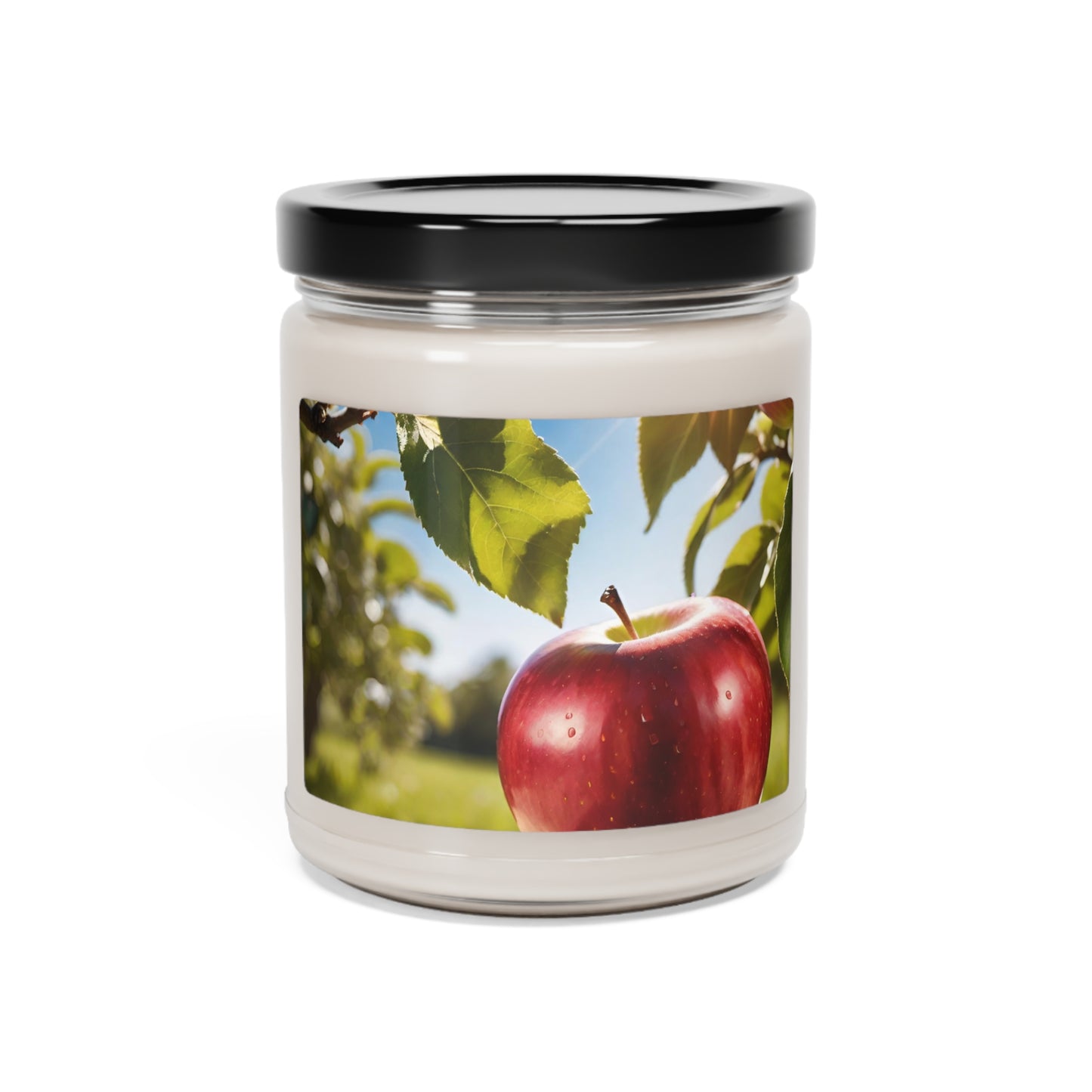 Apple Harvest Scented Aroma Harmony Soy Candle, 9oz